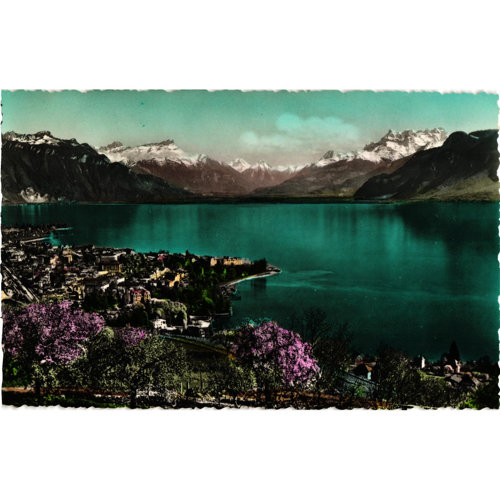 Vevay et Dents Du Midi Postcard Uposted Chablais Alps Switzerland