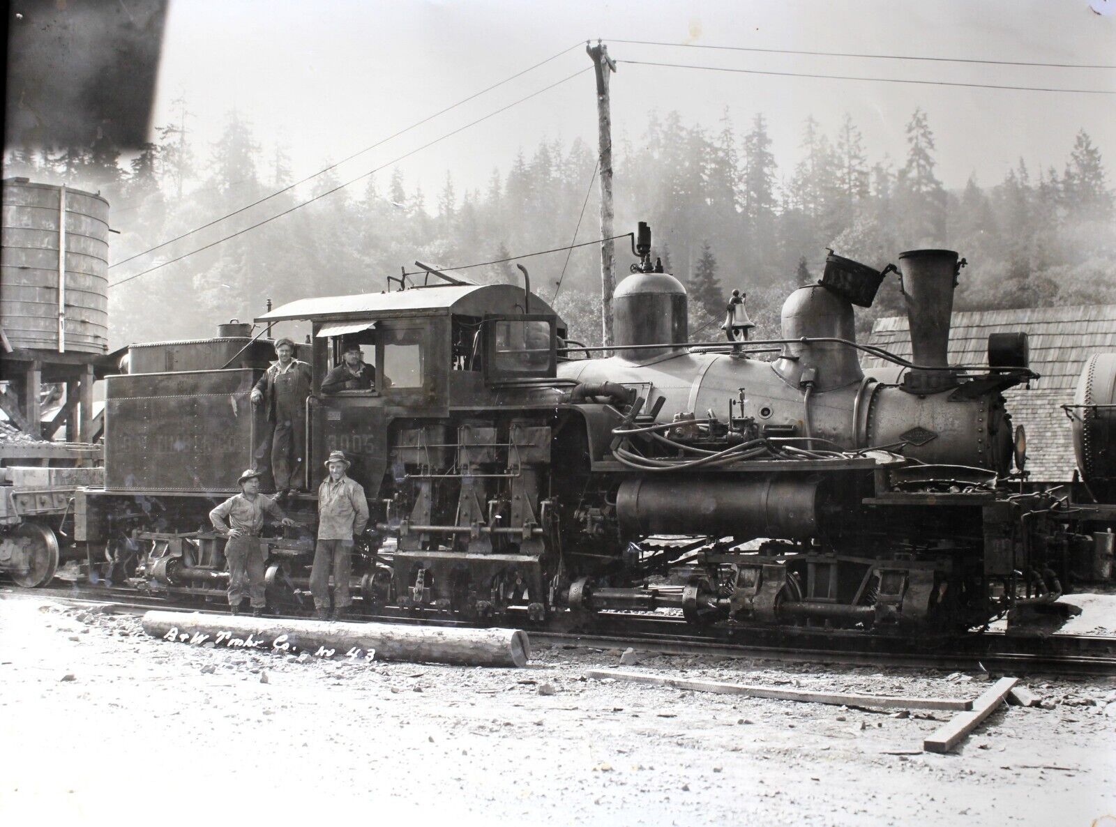 Historical Washington State Timber Railroad Photo Attributed to Darius Kinsey