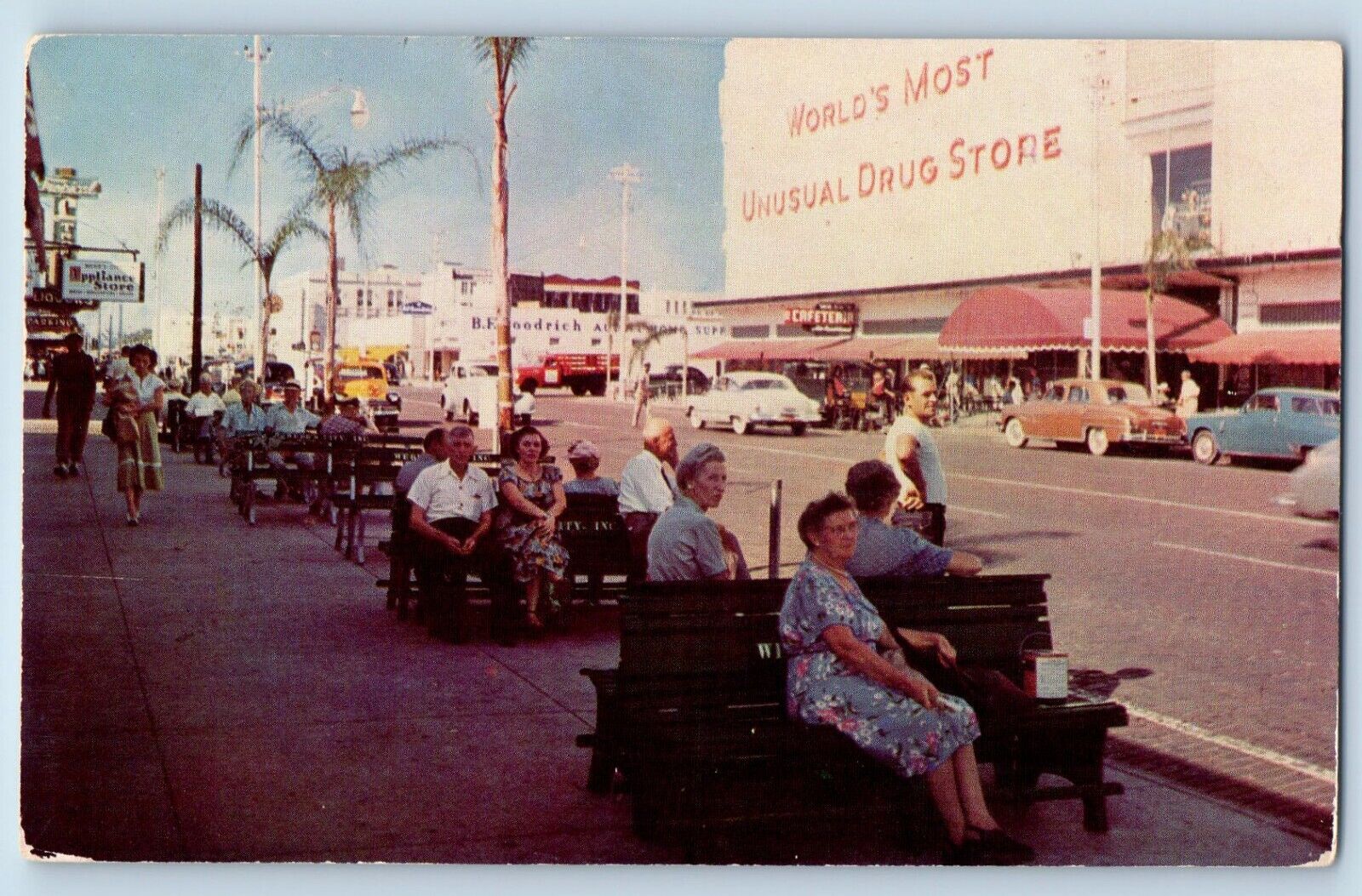 St Petersburg Florida FL Postcard Famous Green Benches Palm Trees 1960 Unposted