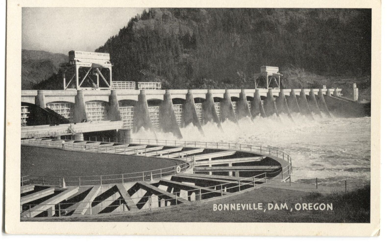 Postcard Bonneville Dam Oregon OR 