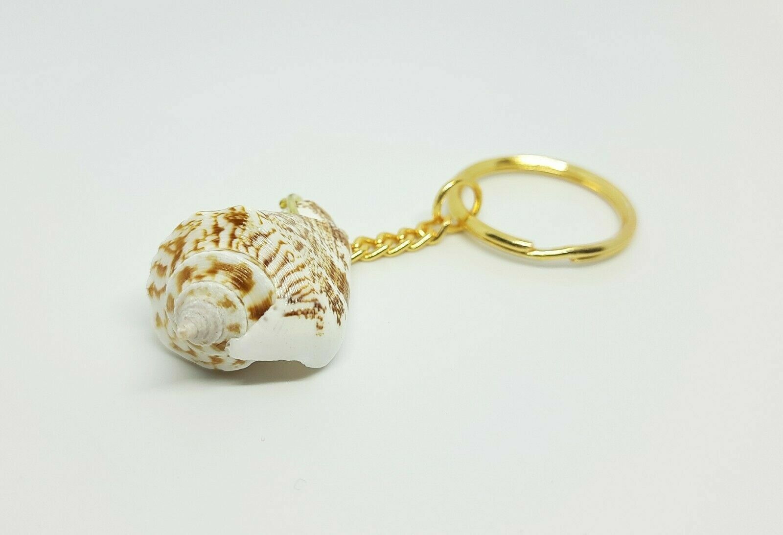 Original Sea Shell Key Ring Sea Shell 100% Natural