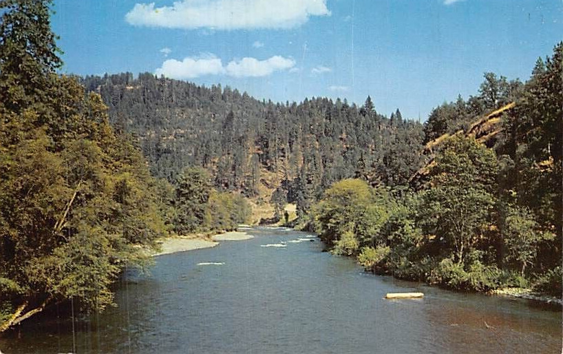Postcard OR: Rogue River near Trail, Oregon, 1950's