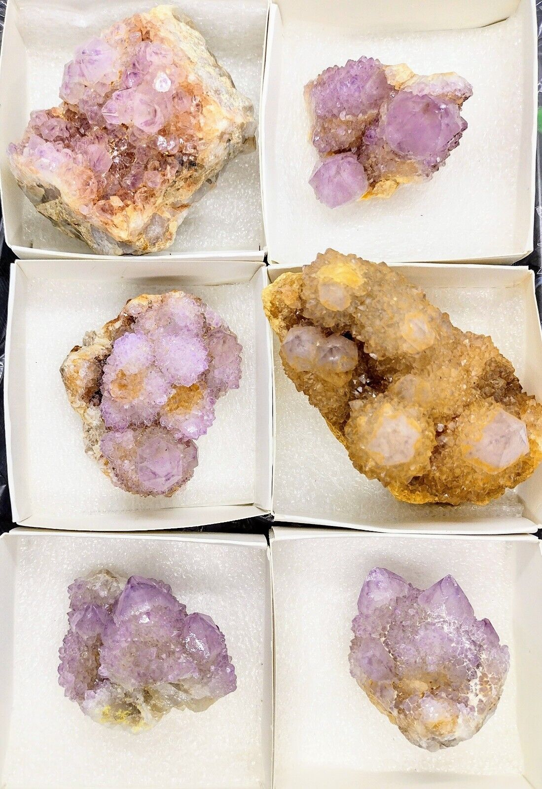 Spirit quartz lot 6pcs - wholesale crystal  flat -  Rare spirit quartz cluster