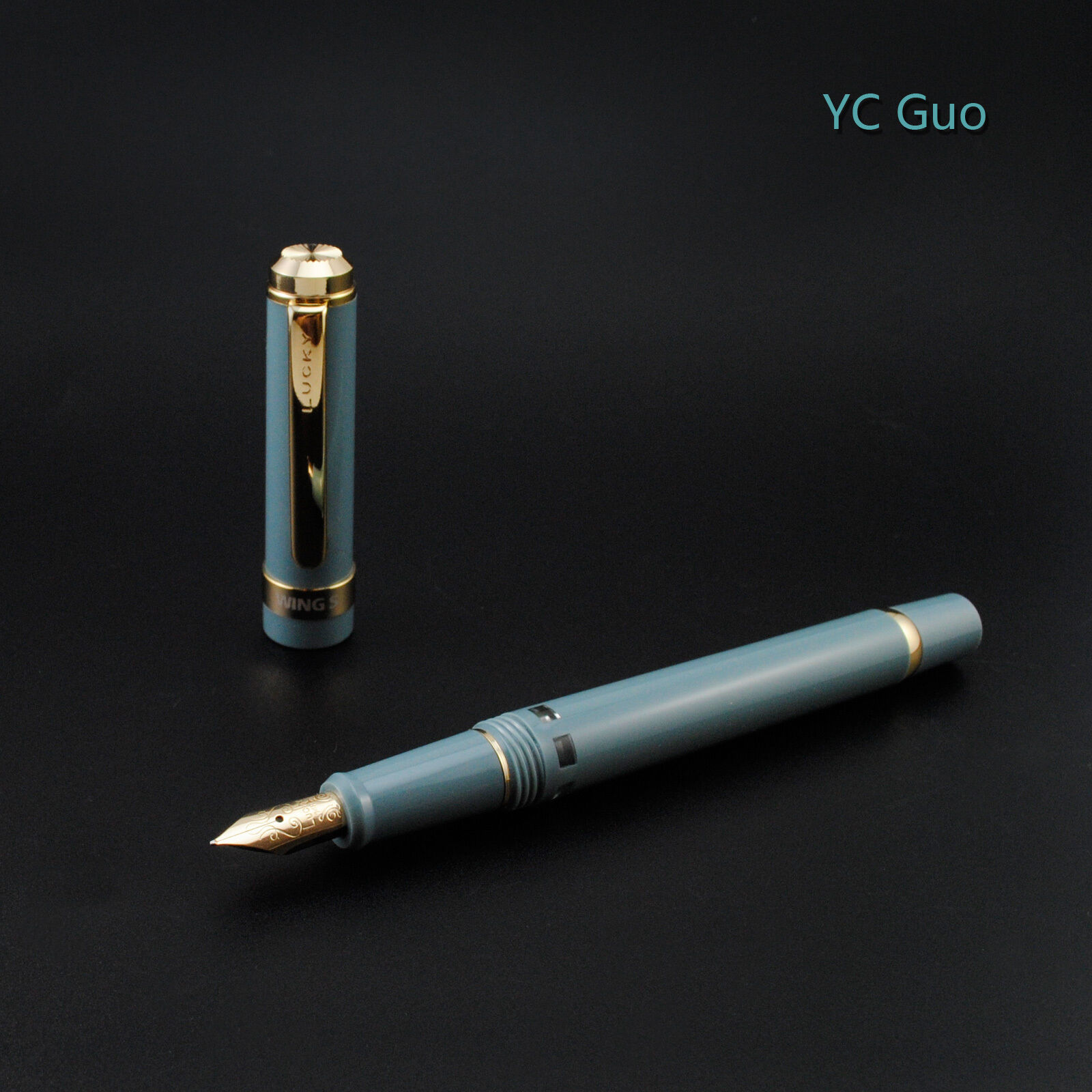 2017 Wing Sung 698 Piston 14K Gold Pen Teal Golden Clip Fine Nib Without Box 
