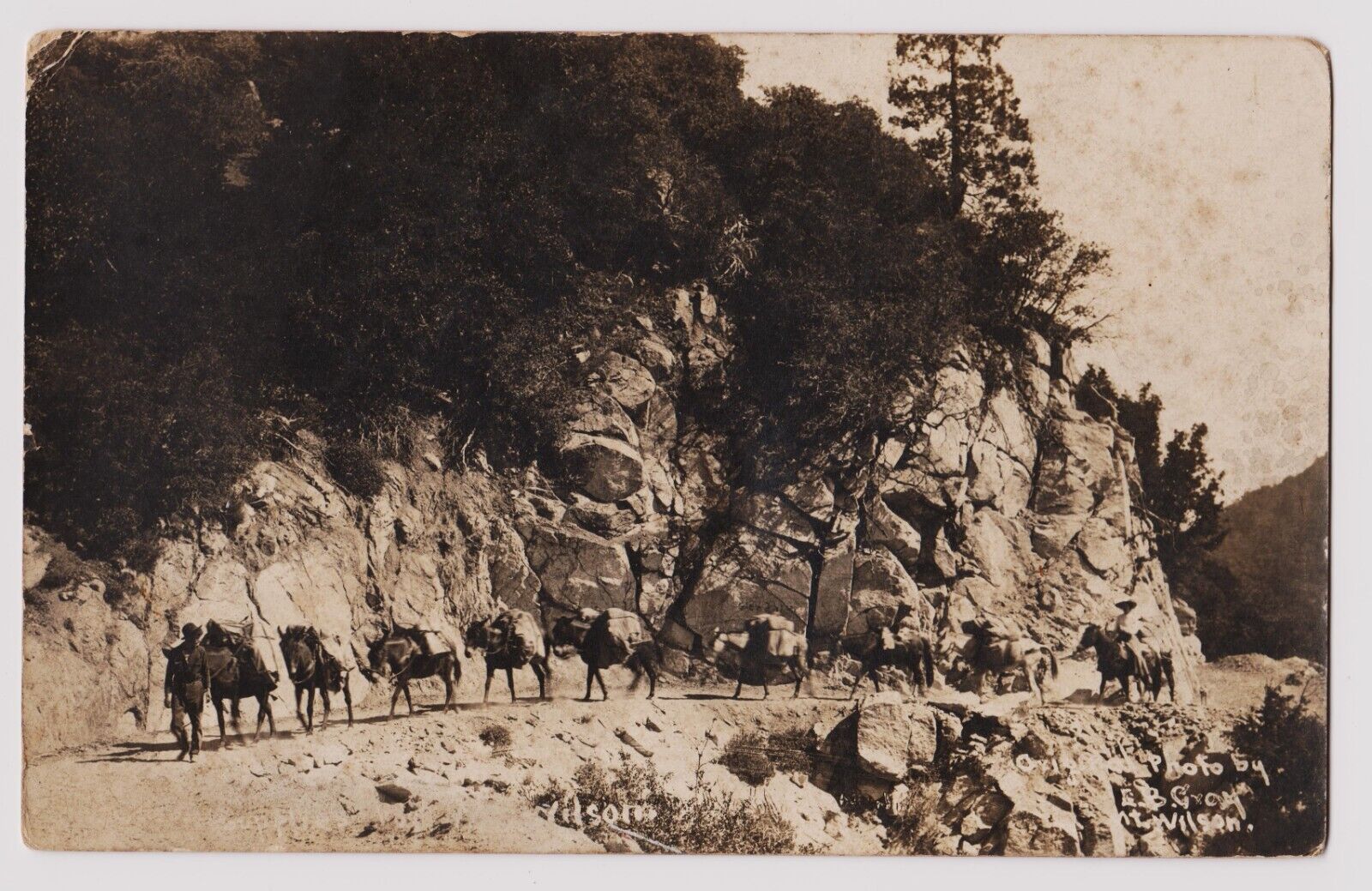 pack train on the  Mt. Wilson Wagon Road  RPPC postcard