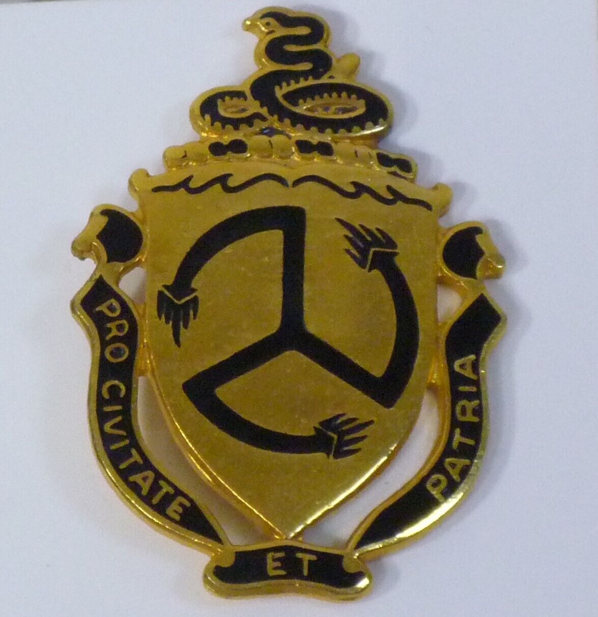 US Army Crest DI/DUI Pin 200th Coast Artillery Regiment Pin