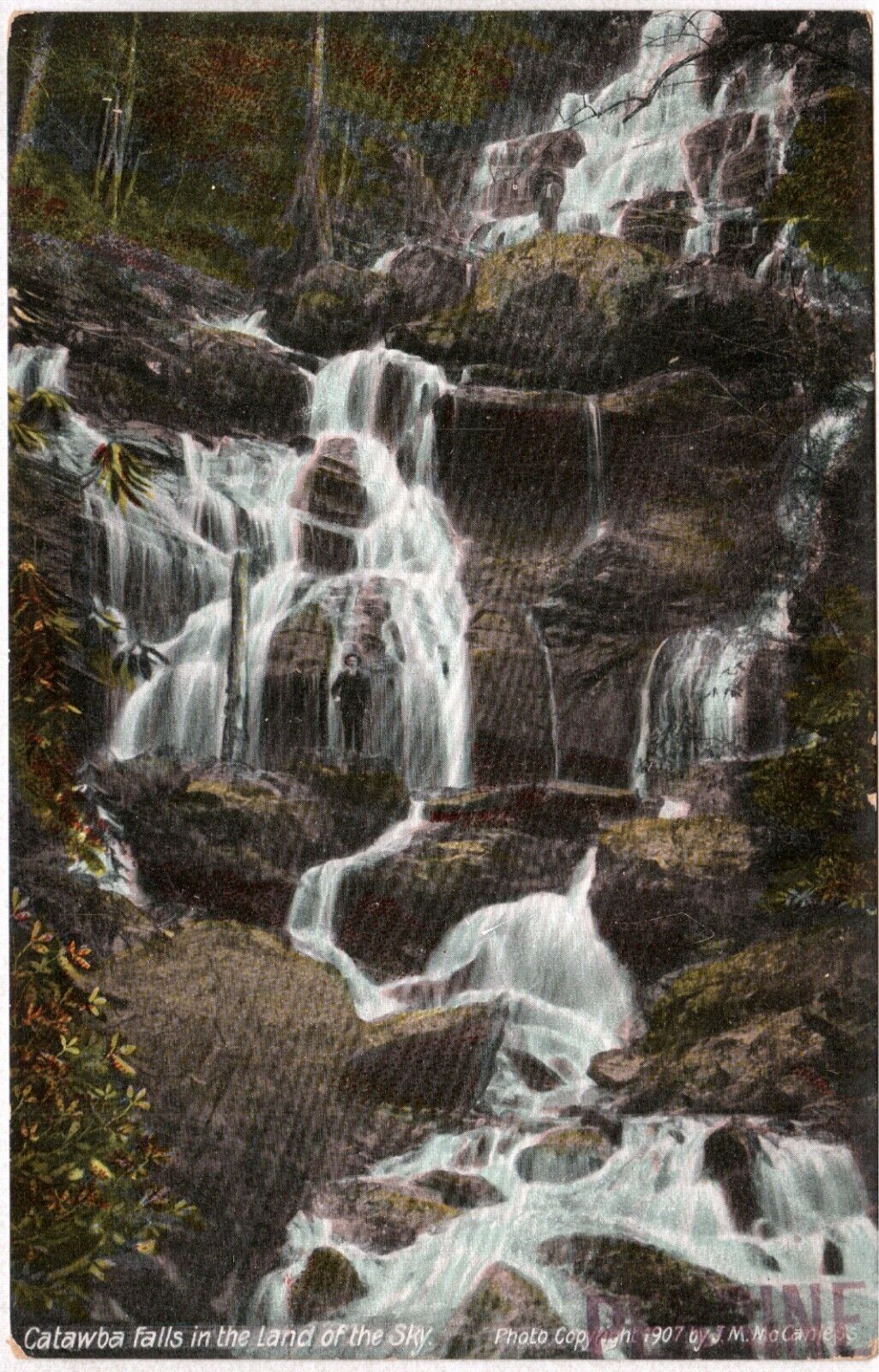 Postcard - Catawba Falls in the Land of the Sky, N. Carolina - Early 1900s (M2k)