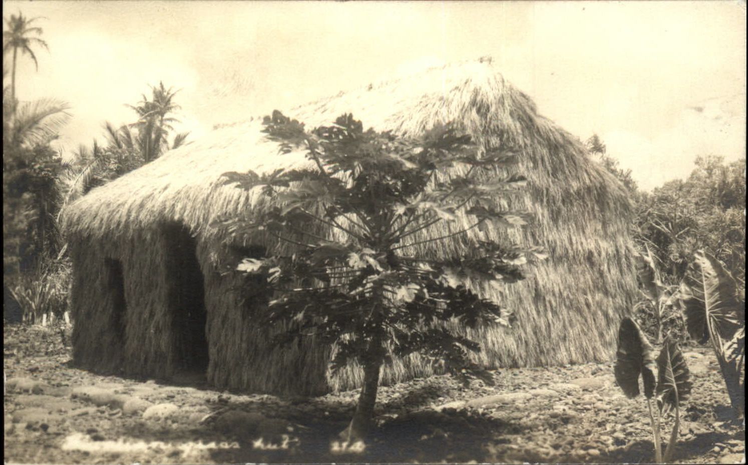 RPPC Hawaiian grass hut 1930-50s unused real photo postcard