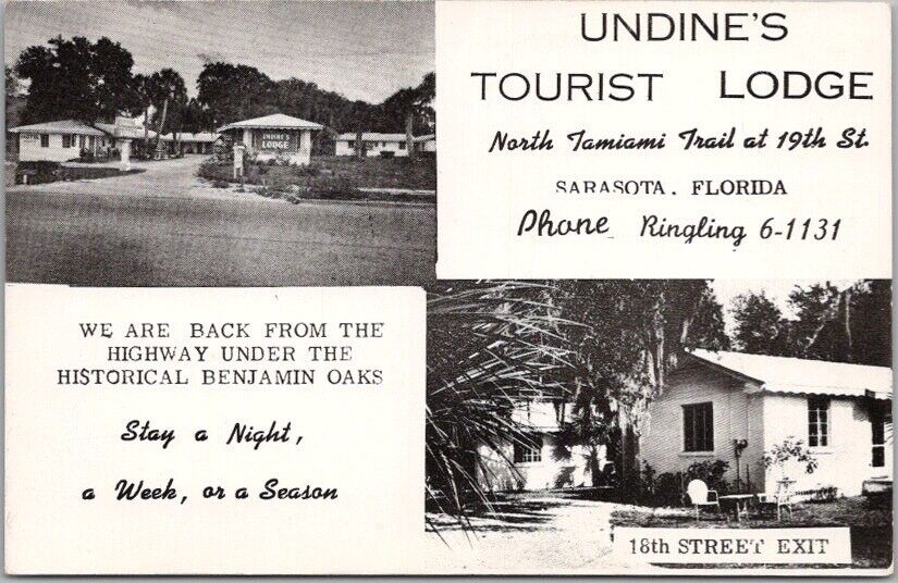 c1950s SARASOTA, Florida Postcard UNDINE'S TOURIST LODGE Roadside / Unused