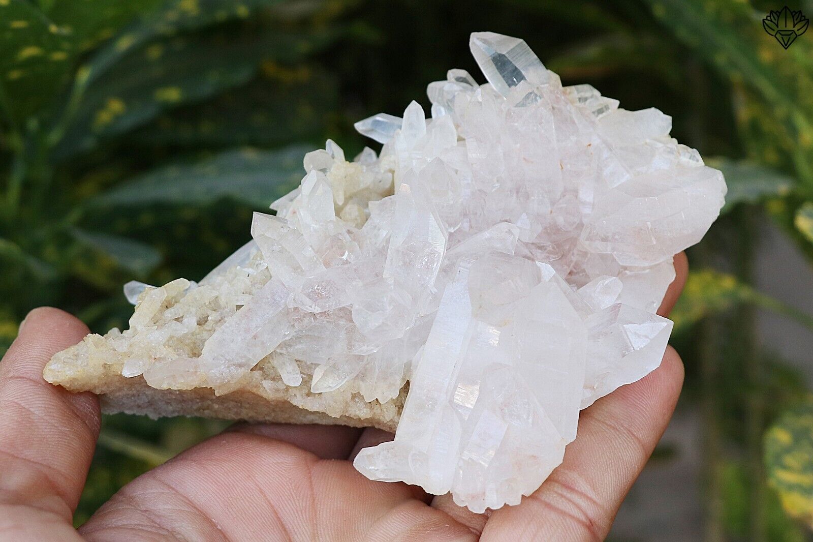 High Grade Himalayan Pink Quartz Rough Healing Crystal 295 gm Minerals Specimens