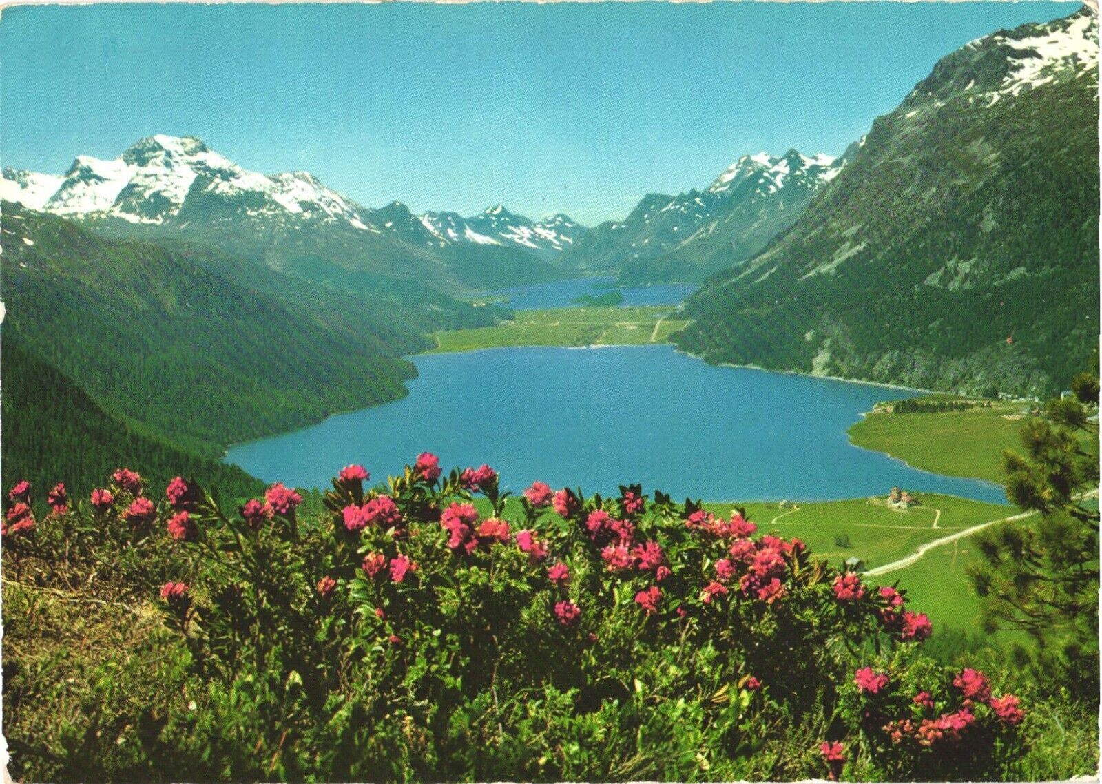 View of The Upper Engadine, Silvaplana and Lake Sils, Switzerland Postcard