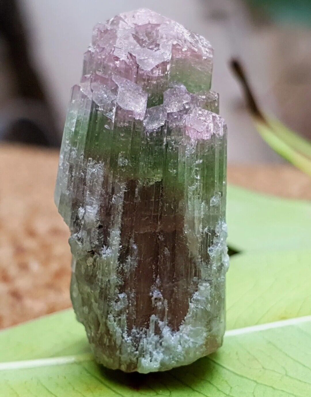 46 Carats Very Unique Quality Beautiful Bi-Color Tourmaline Crystal 