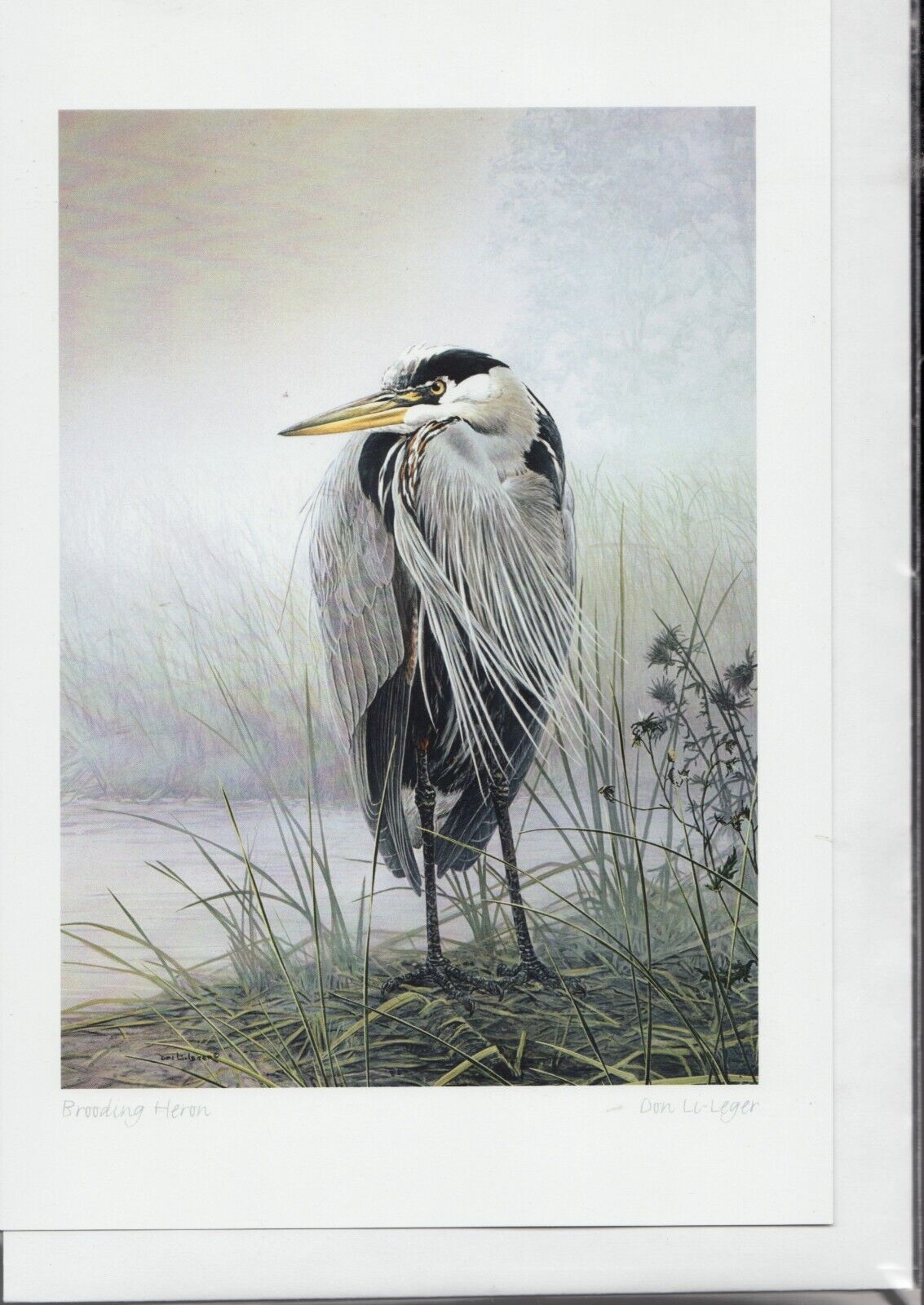 BROODING HERON - West Coast Nature by Don Li-Leger - New 6\