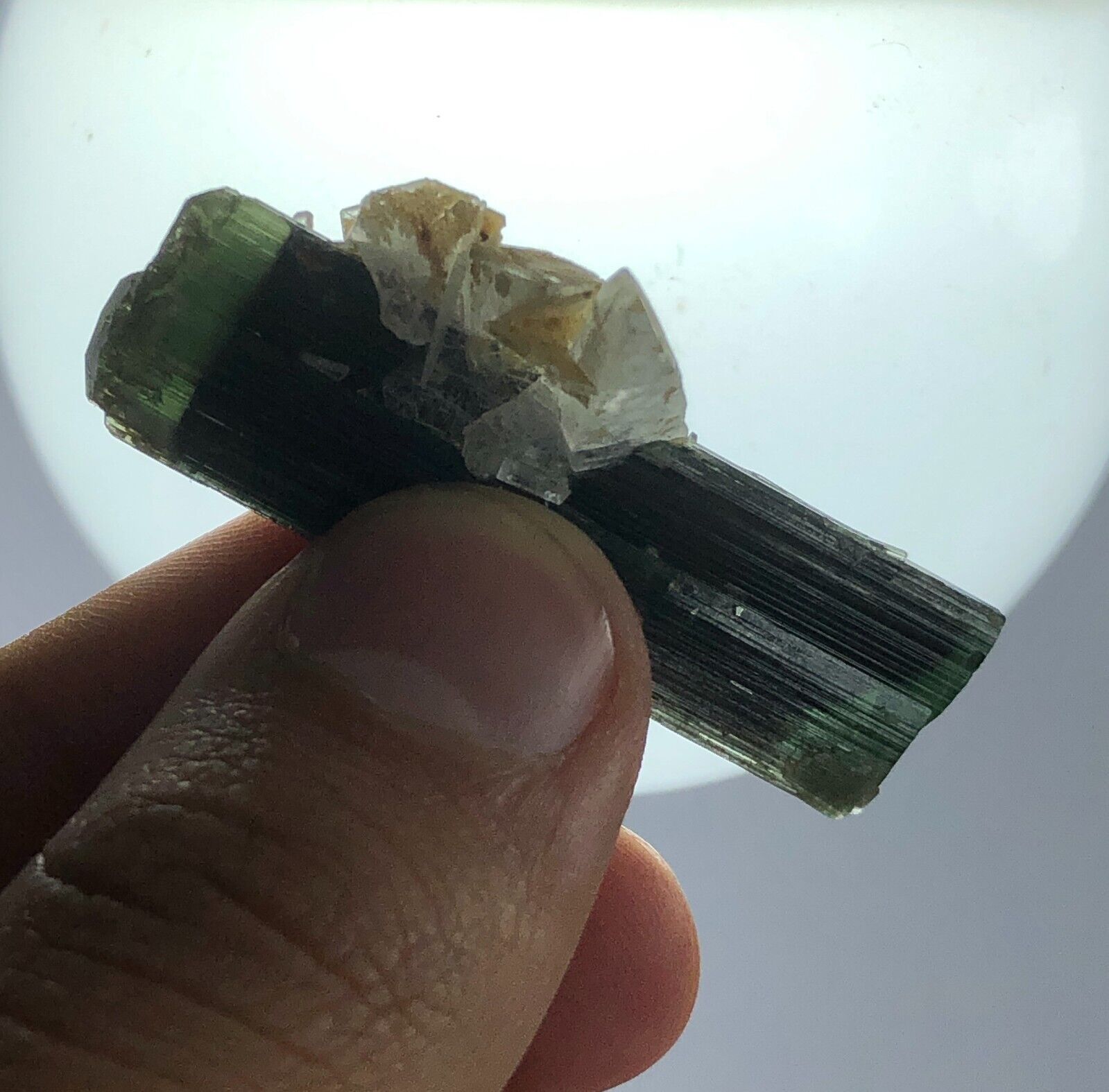 75 Ct Green Cap On Both Sides of Tourmaline Crystal Specimen, Skardu Pakistan 