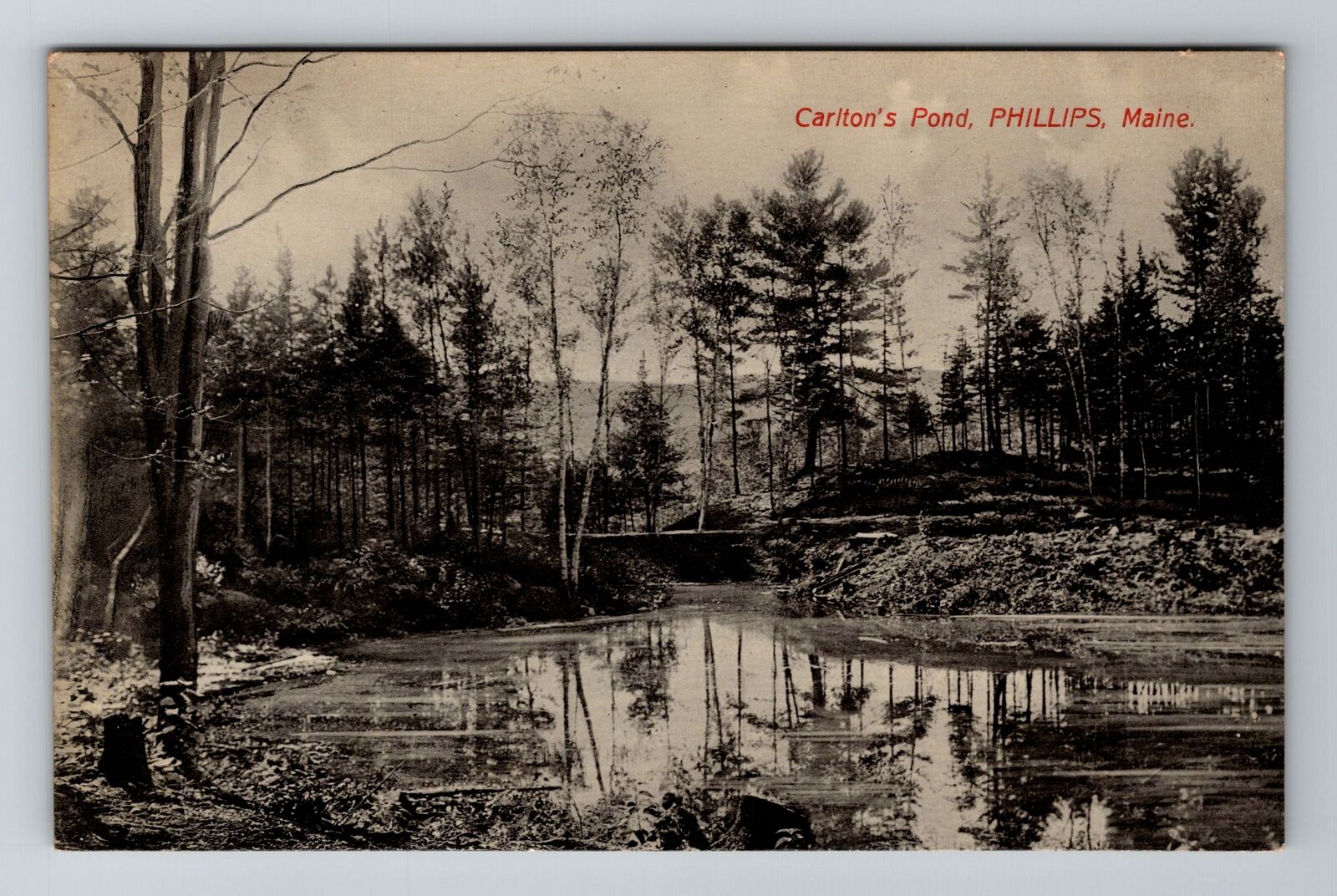Phillips ME-Maine, Carlton's Pond, Antique Vintage Souvenir Postcard