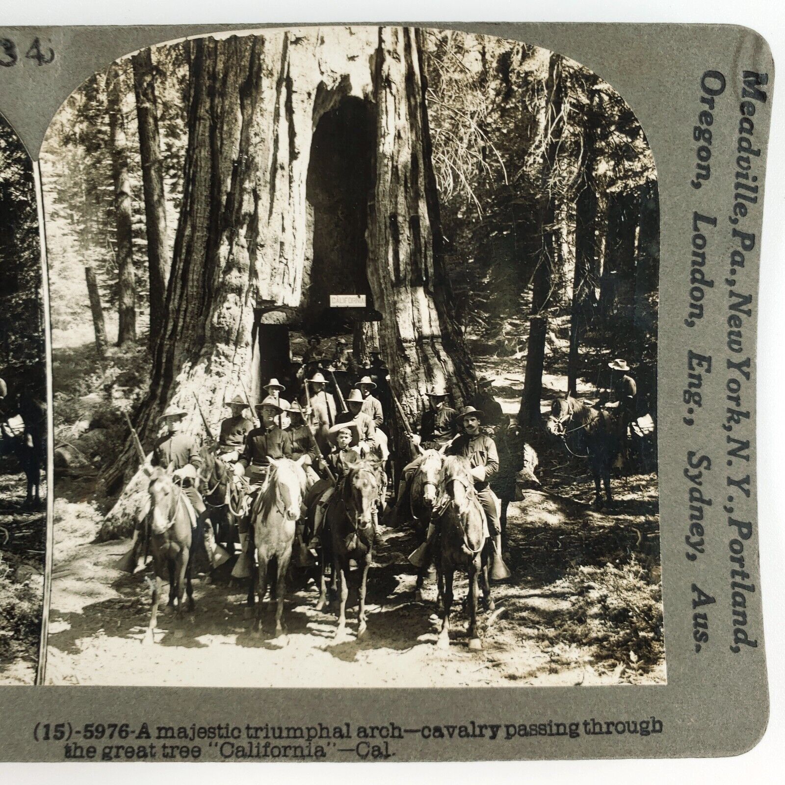 Pioneer Cabin Tree Tunnel Stereoview 1920s Keystone Northern California H1565