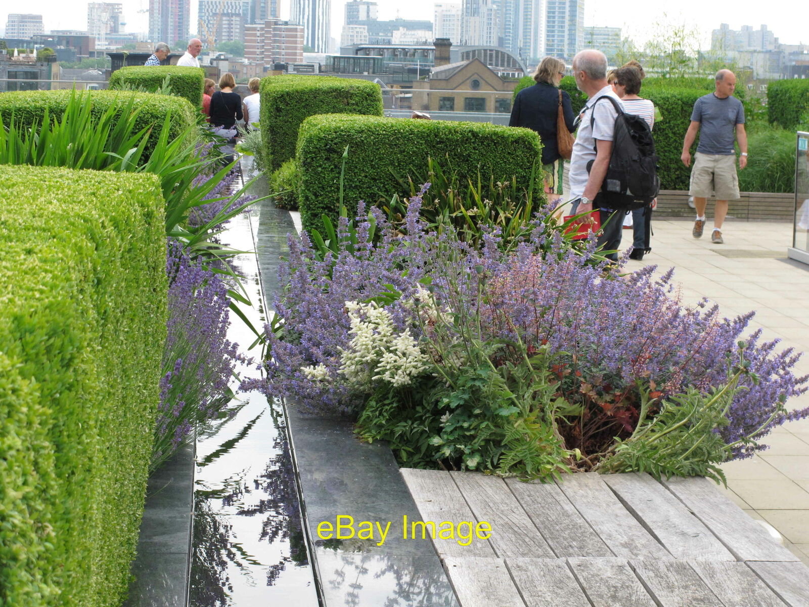 Photo 12x8 Water feature flower beds topiary Nomura roof garden 6th floor  c2018