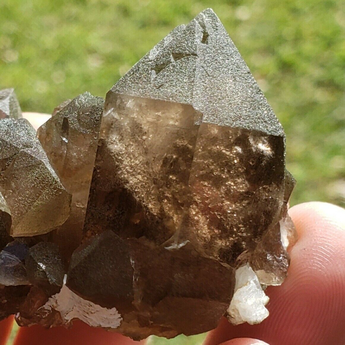 + Fine Natural Smokey quartz crystal cluster mini mineral specimen Gemmy Swiss 