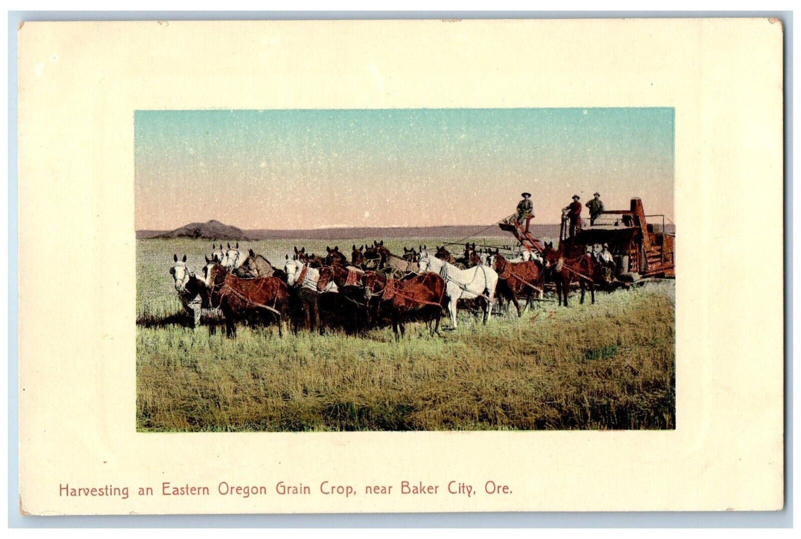 Baker City Oregon OR Postcard Harvesting Eastern Oregon Grain Crop c1910 Vintage