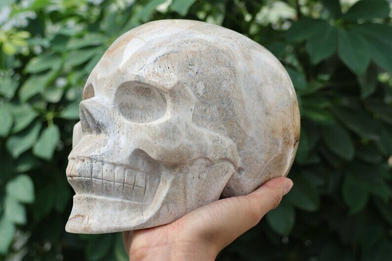 5.6kg Natural Huge Quartz Crystal Skull Carving,Coral Jade Skull,Home Decor Heal