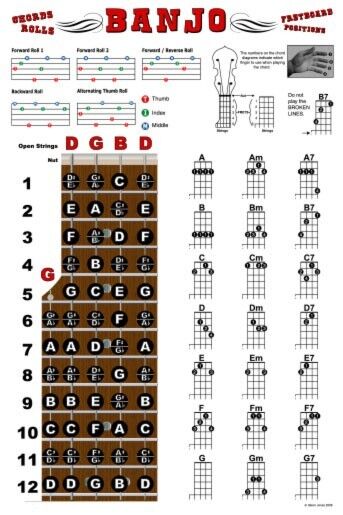 Banjo Chord Chart Poster Fretboard Rolls LOOK