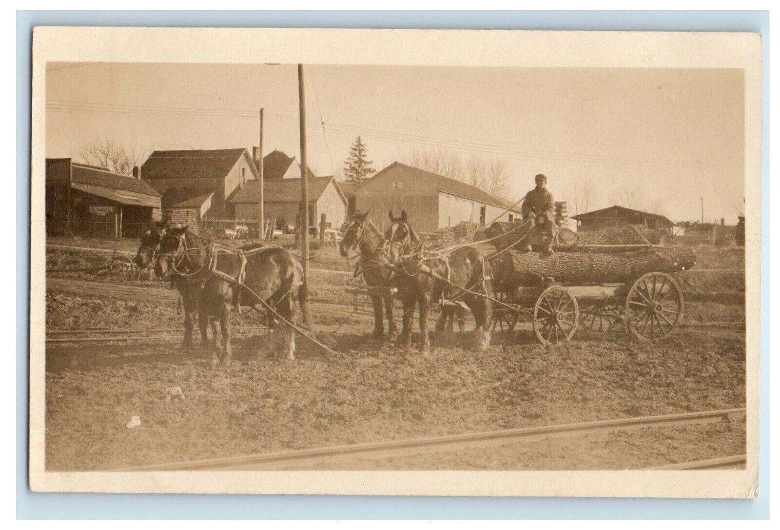 c1920s Horse Team Wagon Hauling Logging Logs Worker RPPC Unposted Photo Postcard