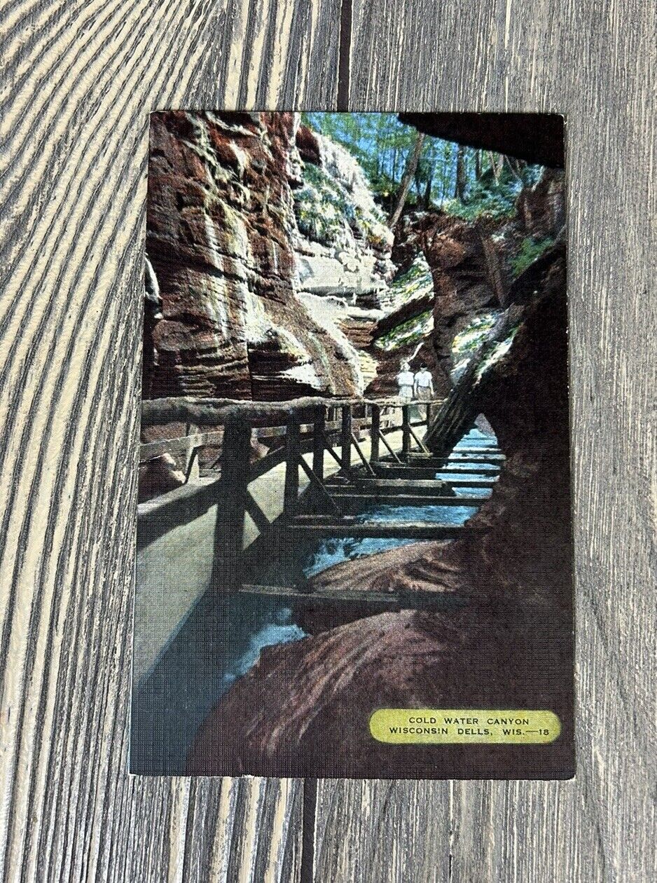 Vintage Cold Water Canyon Wisconsin Dells Postcard Souvenir 