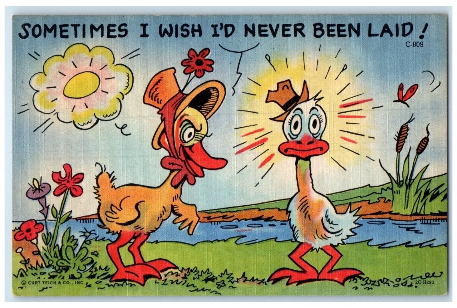 c1930's Anthropomorphic Ducks Sunny Egg Flowers River Unposted Vintage Postcard