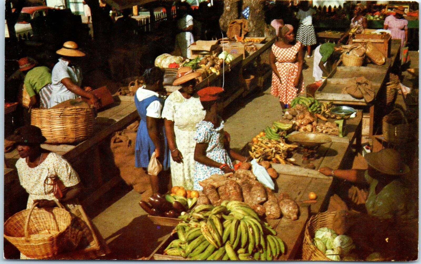 Greetings, Market Scene, Scarboro, Tobago, West Indies Postcard