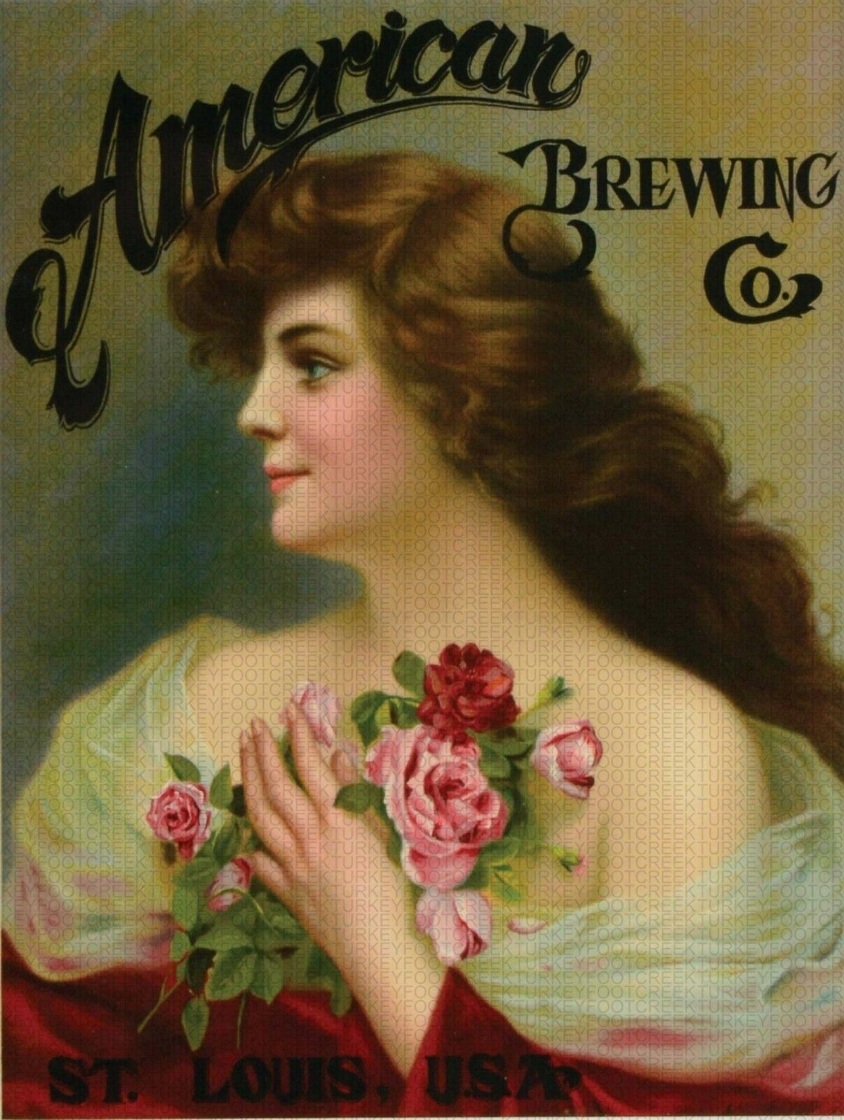 American Brewing Co. 9\