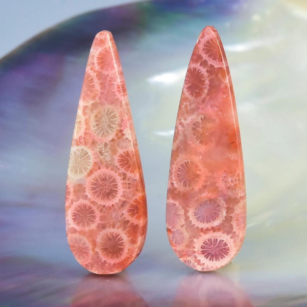 A-Grade Natural Agatized Fossil Coral Cabochon Pair for Earrings Indonesia 4.81g