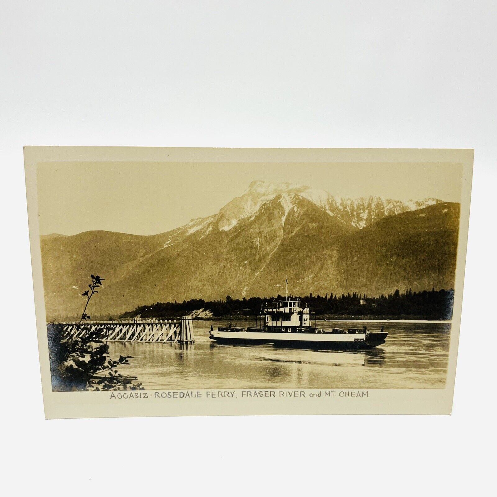Rosedale Agassiz Ferry Fraser River BC British Columbia Mt Cheam RPPC Postcard