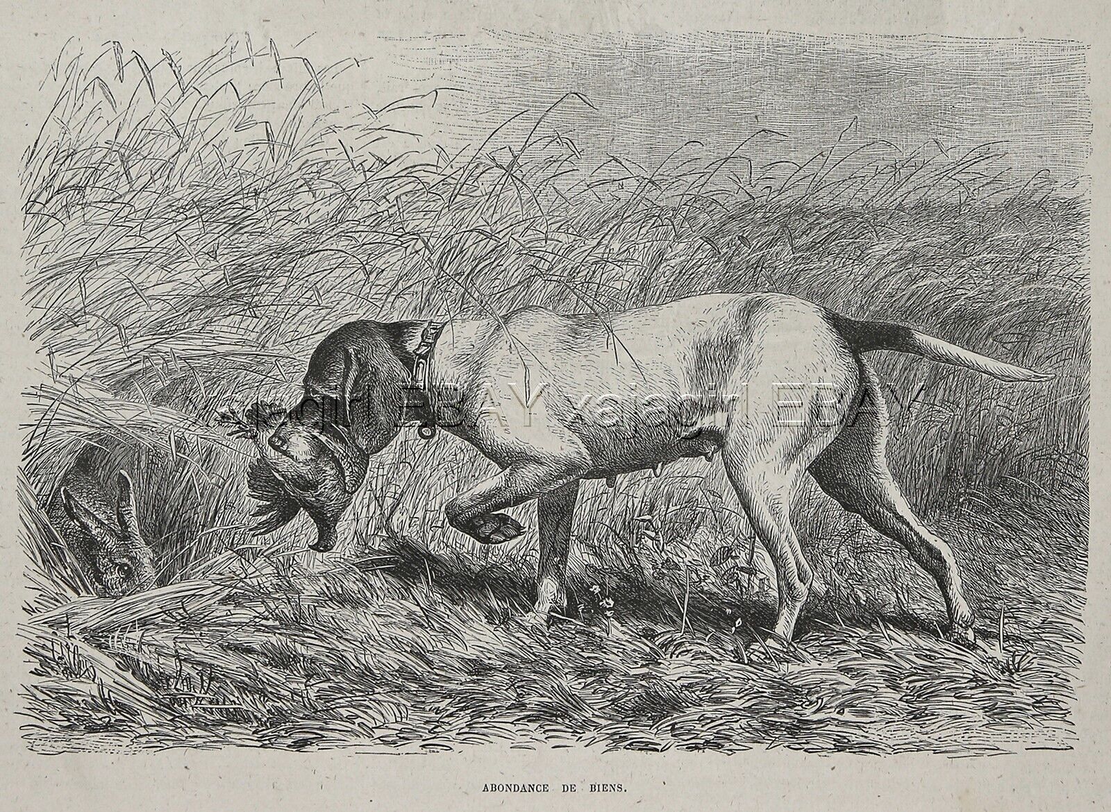 Dog Pointer Retrieves Bird & Points Rabbit-- Good Dog 1880s Antique Print