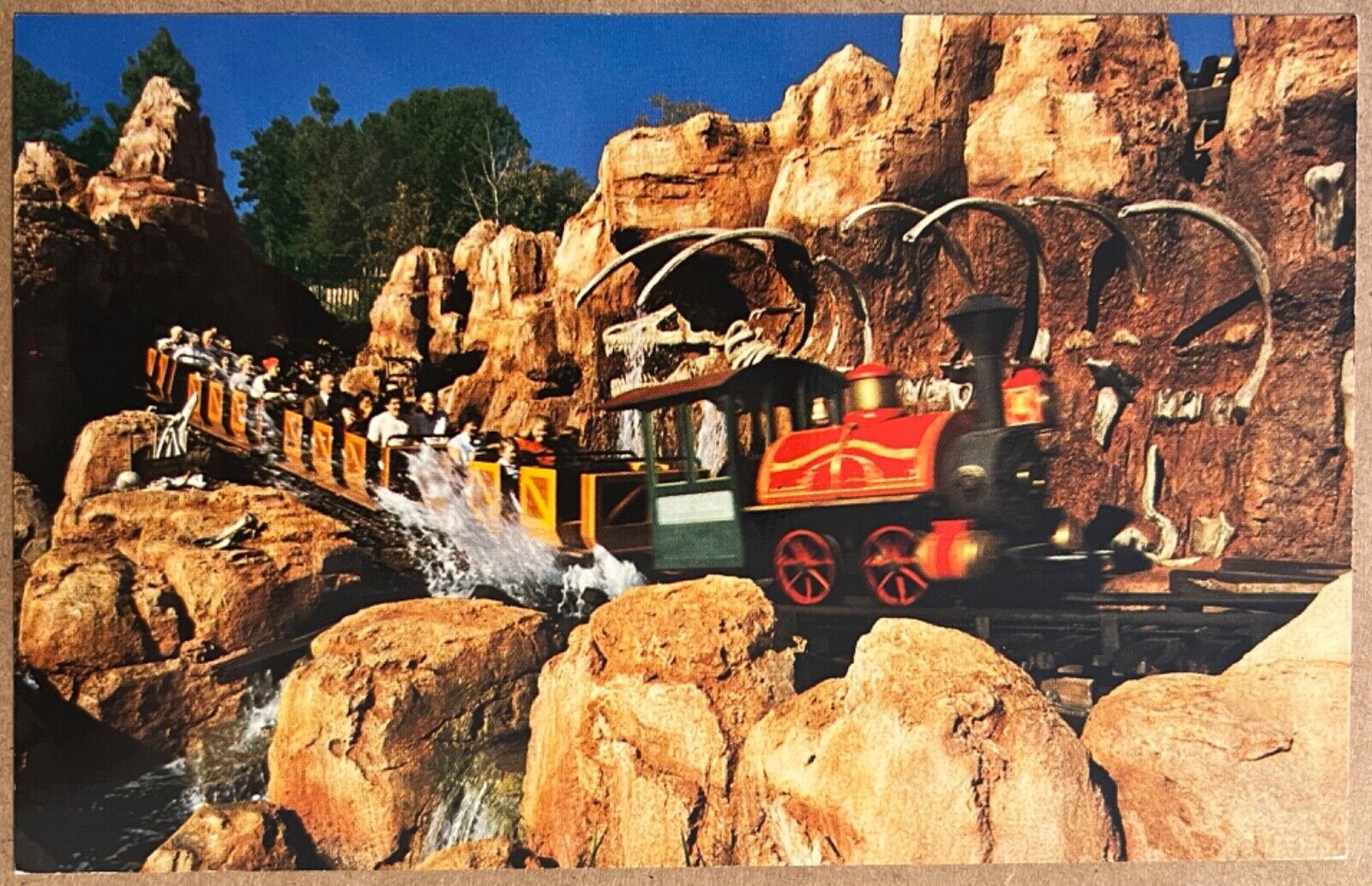 Disneyland Big Thunder Mountain Railroad Dinosaur Bones Postcard