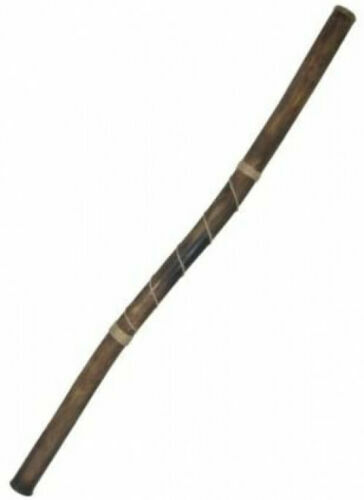 Hand-fired Modern Didgeridoo Beeswax Mouthpiece Key of D World Percussion USA
