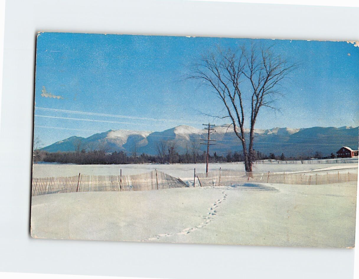 Postcard Winter Snow Scene