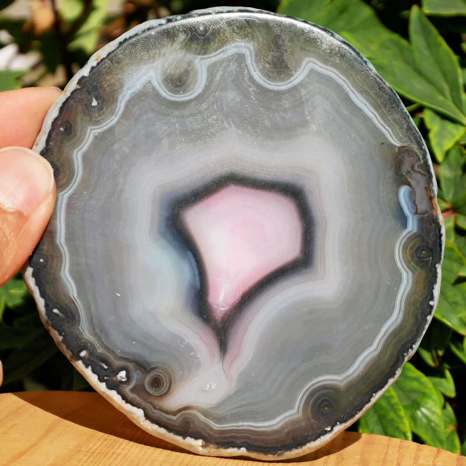 Wholesale Lot 10pcs Natural Agate Slab Crystal Nice Quality Healing Home Decor4\