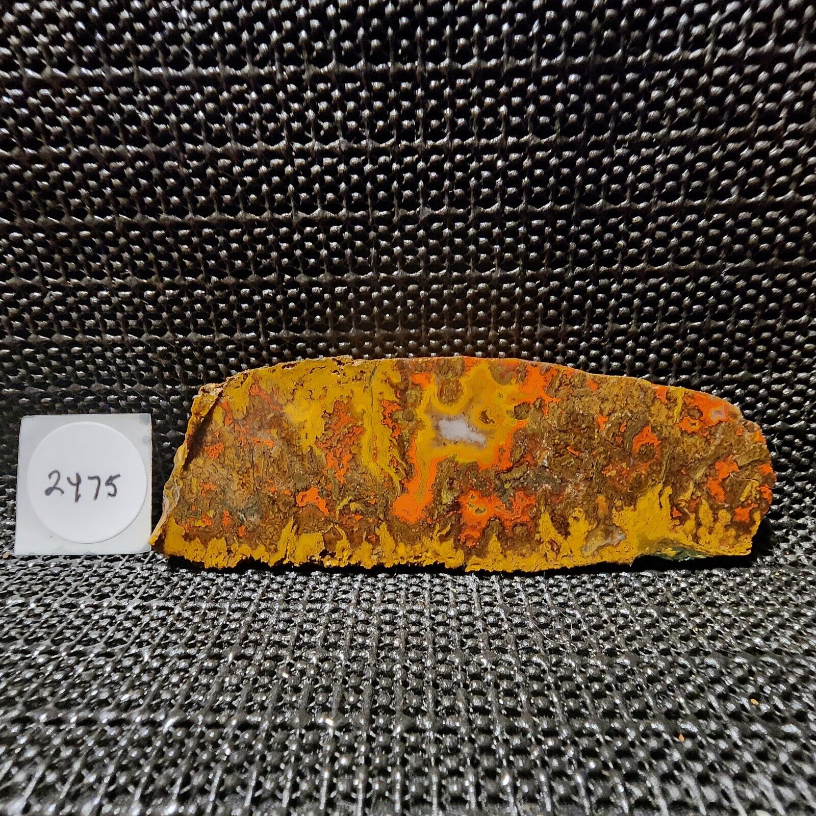 Gorgeous Moroccan Seam Agate Slab, Cab/Collect, Incredible Fiery Colors/Design