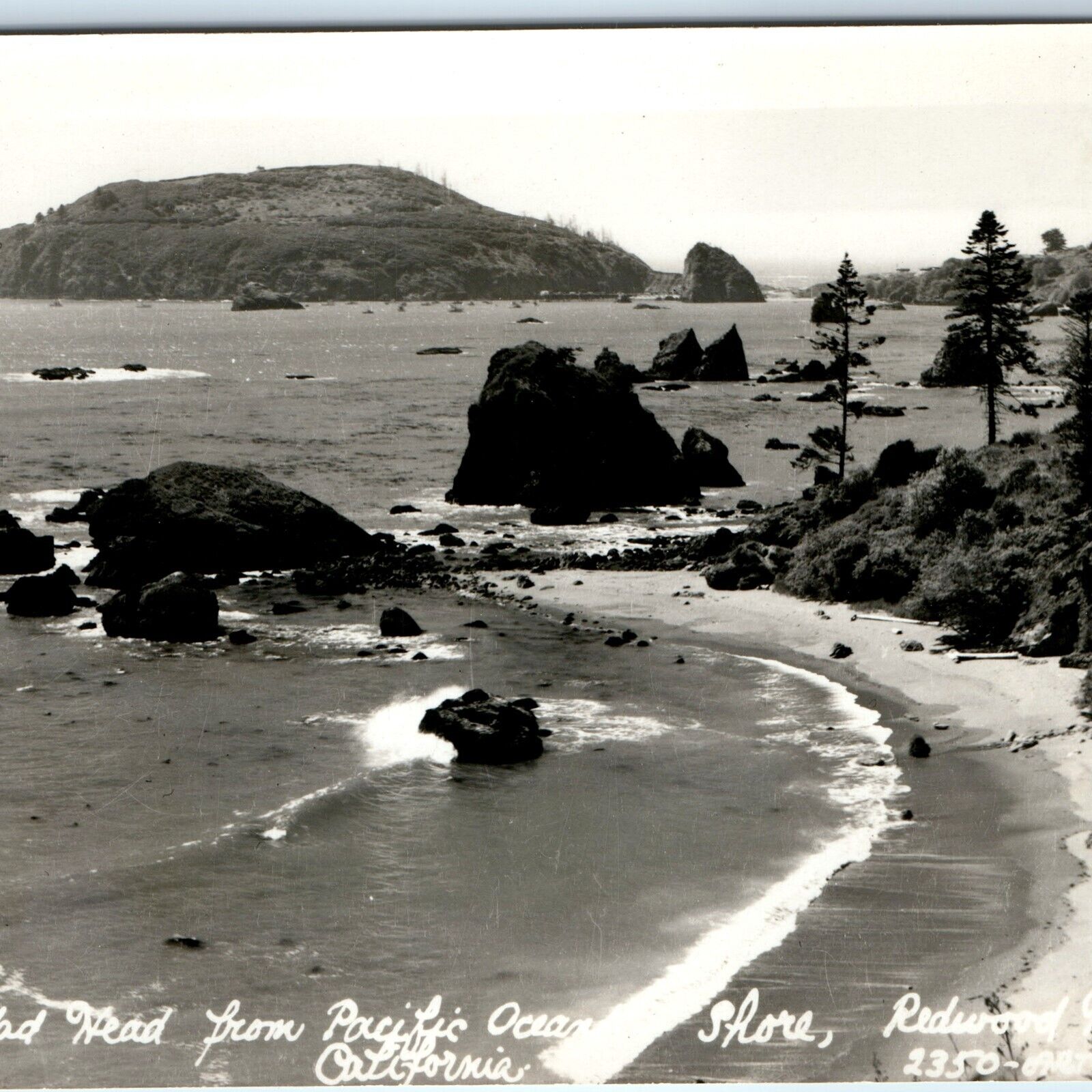 c1940s California RPPC Redwood Highway Trinidad Head Real Photo Art Ray CA A164