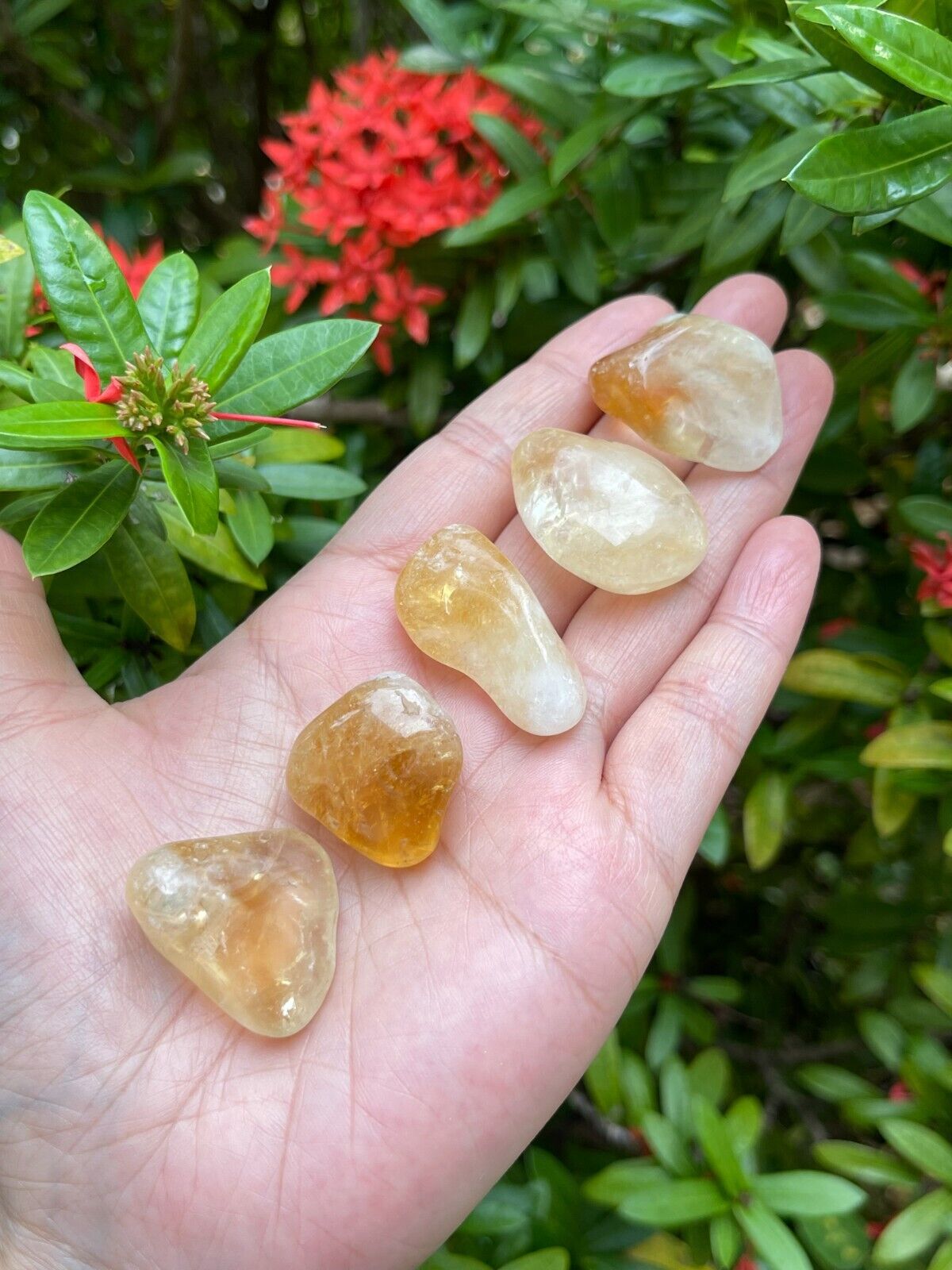 5 Pieces Tumbled Stones, Choose From 70 Typle Gemstones, Polished Stones