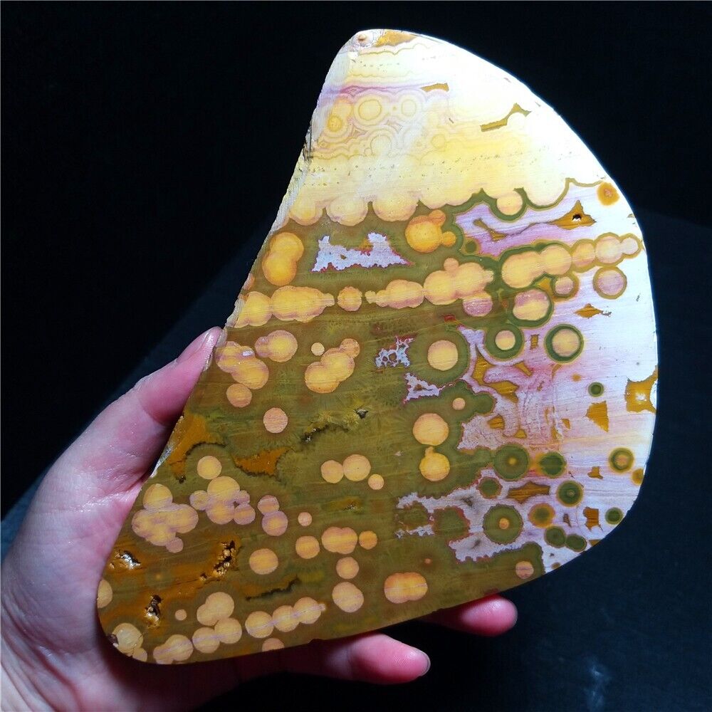 Rare 490G Natural Orbicular Ocean Jasper Rough Stone Healing Madagascar QA215