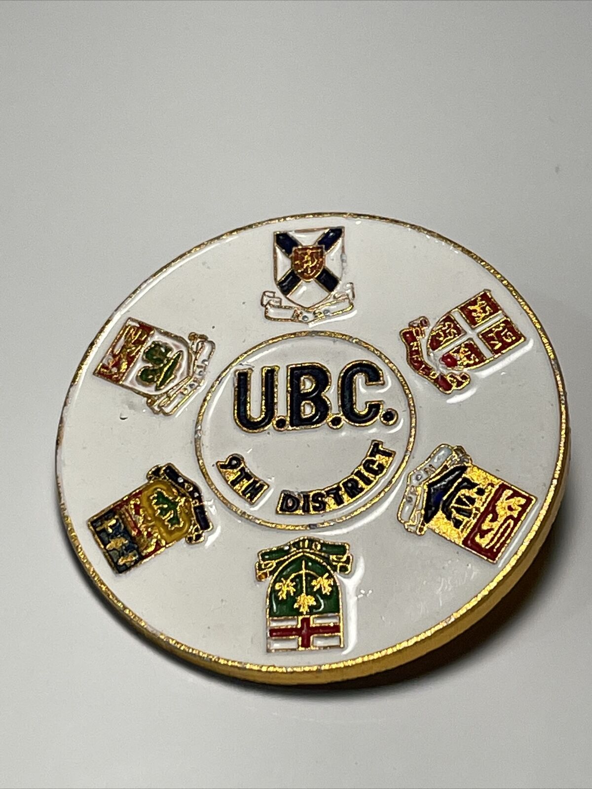UBC 9th District Carpenters Union Pin