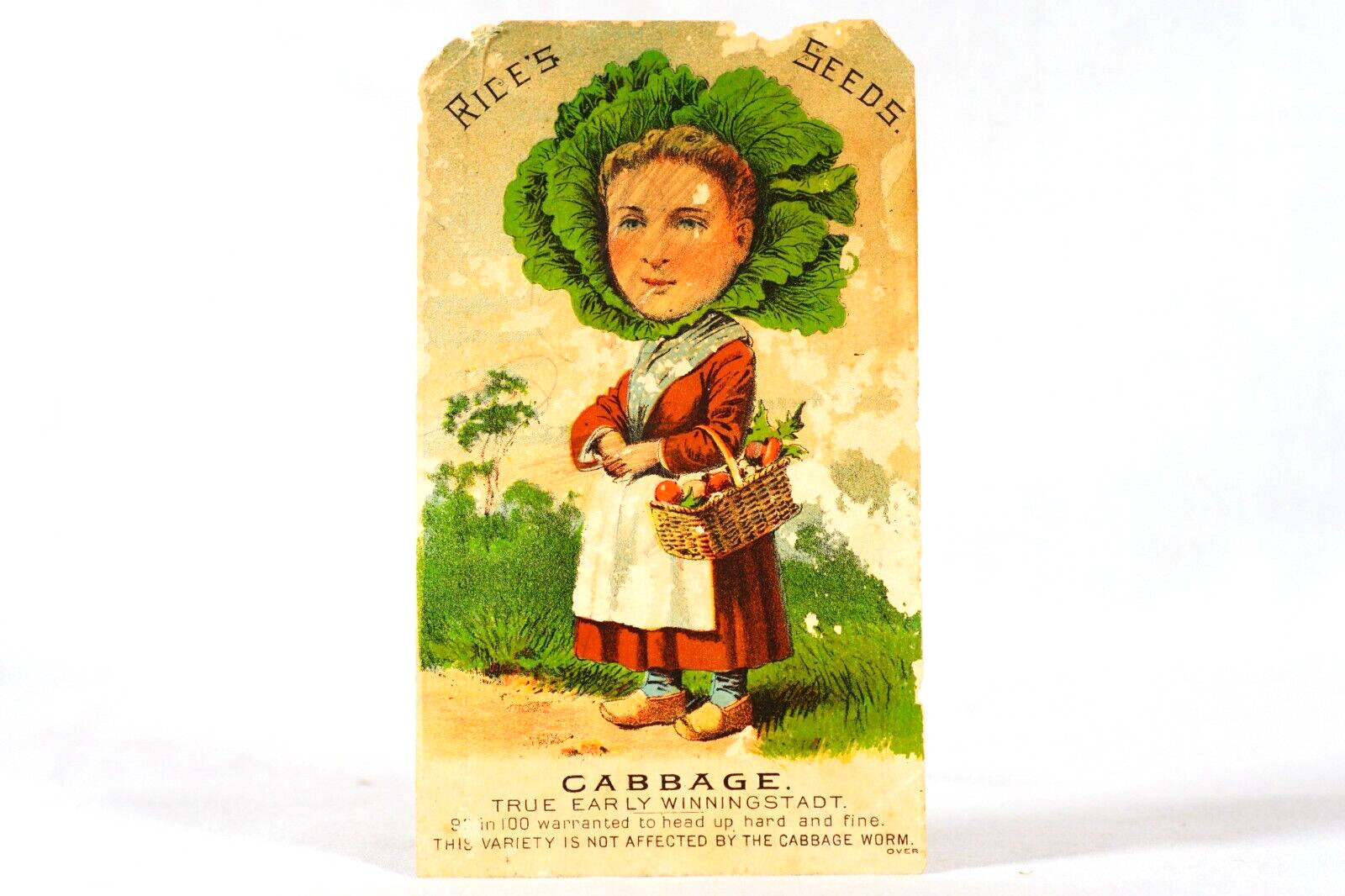 Rare Rice's Seeds Cabbage Early Winningstadt Advertising Victorian Trade Card