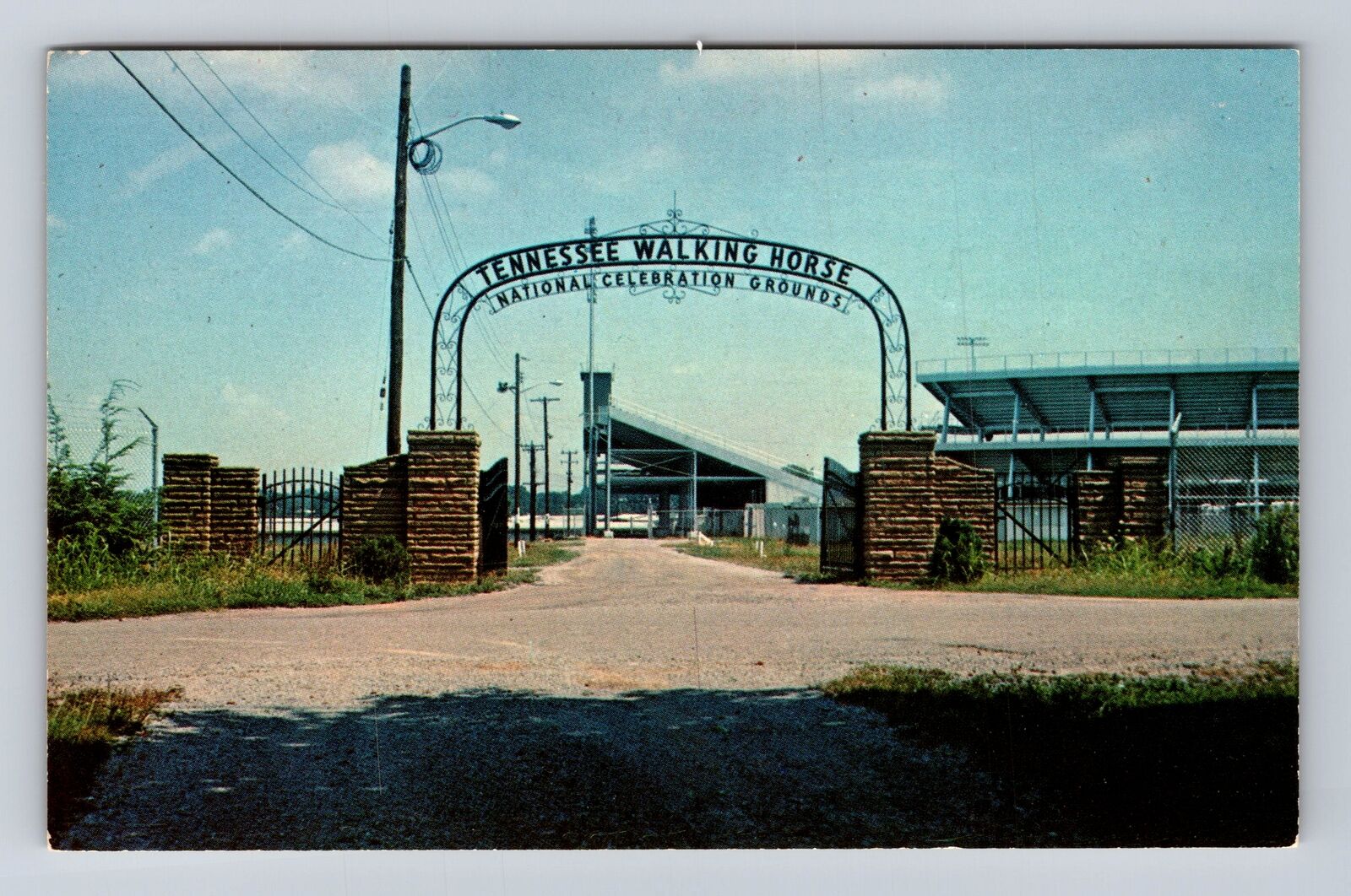 Shelbyville TN-Tennessee, Entrance To Tennessee Walking Horse, Vintage Postcard