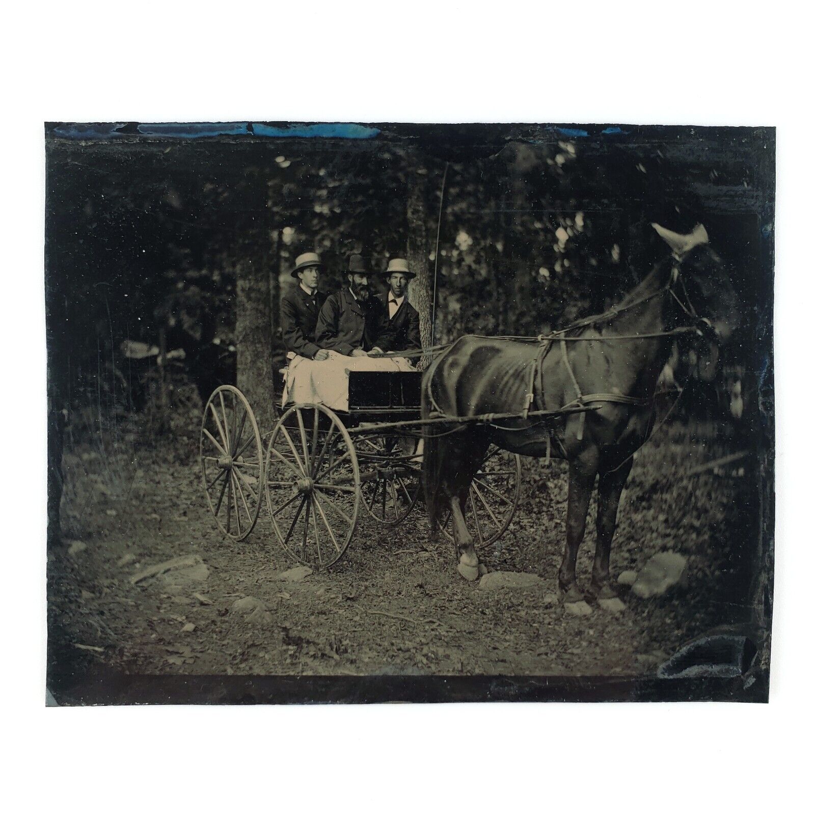 Men Driving Horse Buggy Tintype c1895 Outdoor 1/4 Plate Carriage Photo A3162