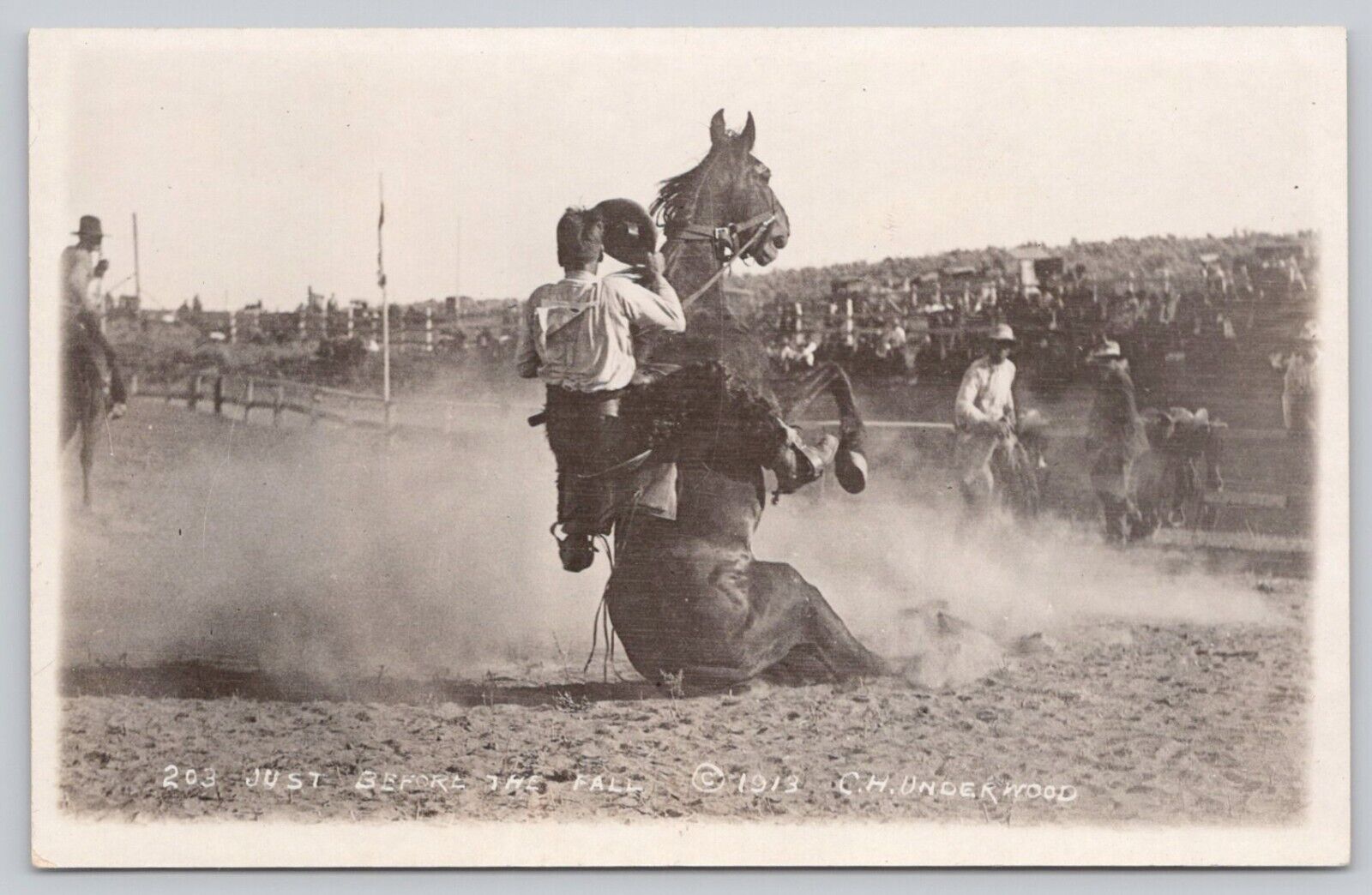 Western Rodeo Bronc Riding RPPC Postcard c1913 Just Before The Fall CH Underwood