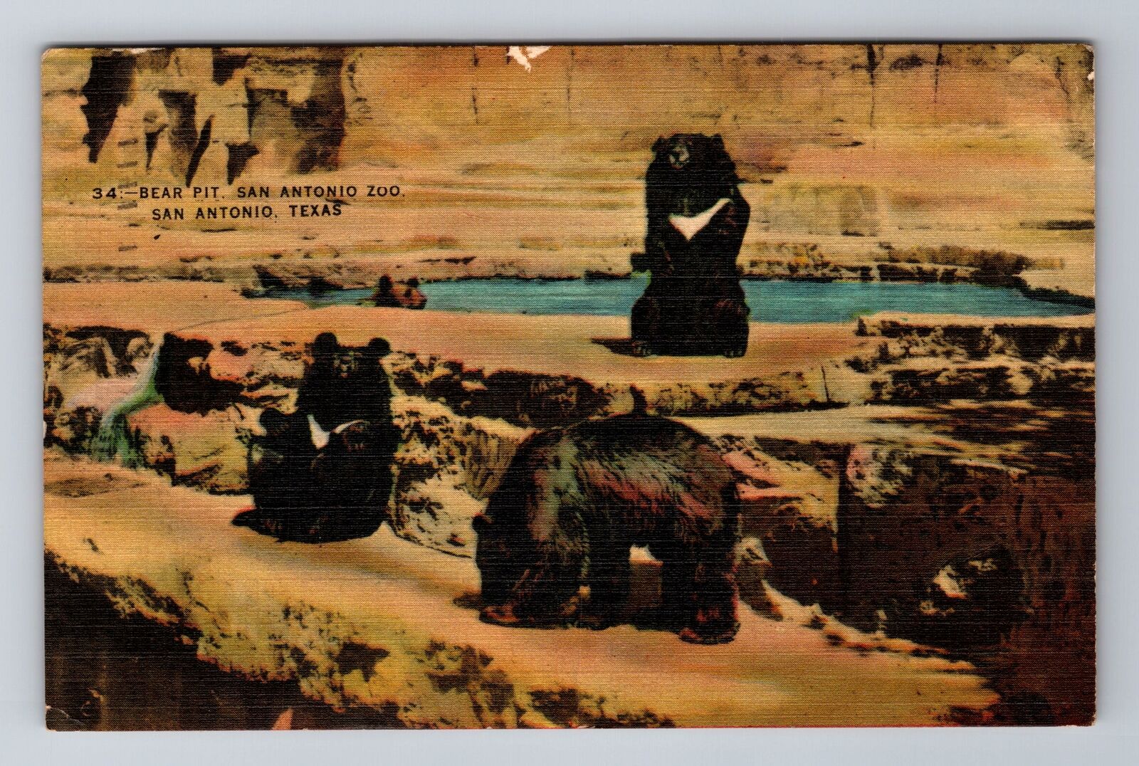 San Antonio TX- Texas, Bear Pit, San Antonio Zoo, Antique, Vintage Postcard