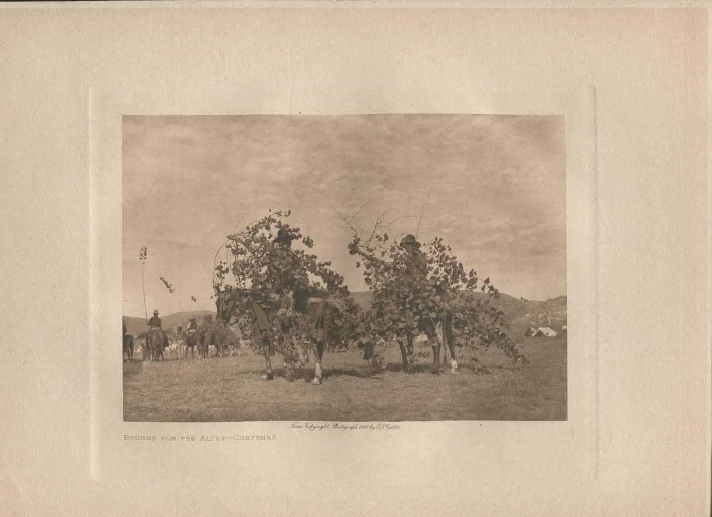1911 Original Photogravure | Edward Curtis | Bough for the Altar | Cheyenne