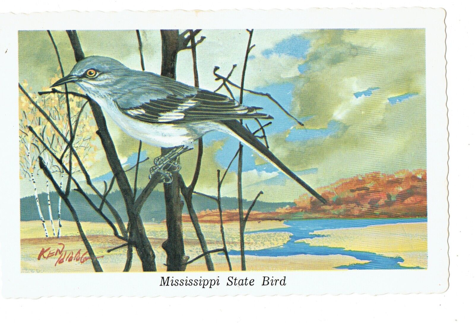 Vintage Postcards(9)State Birds Collection Capital Engraving Pequot, MN UP (365)