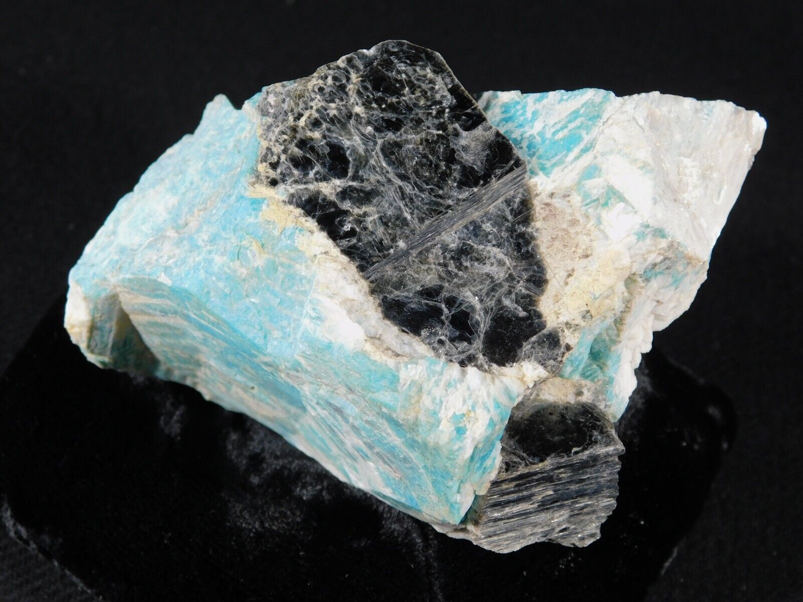 Big BLUE Amazonite Crystal with Zinnwaldite and Cleavelandite Colorado 421gr
